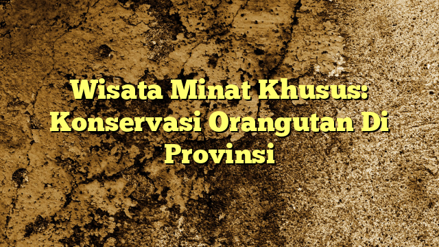 Wisata Minat Khusus Konservasi Orangutan Di Provinsi KabarBahari