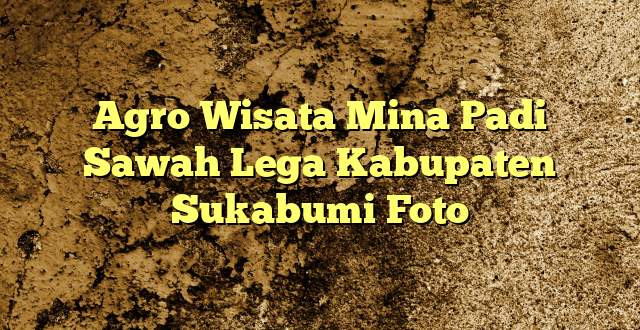 Agro Wisata Mina Padi Sawah Lega Kabupaten Sukabumi Foto