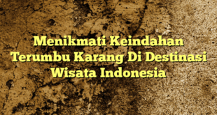 Menikmati Keindahan Terumbu Karang Di Destinasi Wisata Indonesia
