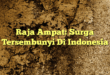 Raja Ampat: Surga Tersembunyi Di Indonesia