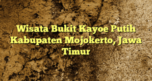 Wisata Bukit Kayoe Putih Kabupaten Mojokerto, Jawa Timur