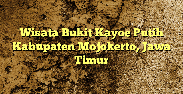 Wisata Bukit Kayoe Putih Kabupaten Mojokerto, Jawa Timur