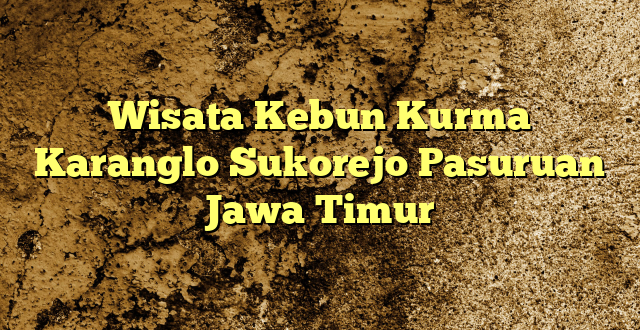 Wisata Kebun Kurma Karanglo Sukorejo Pasuruan Jawa Timur