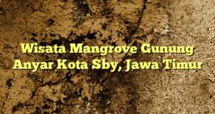 Wisata Mangrove Gunung Anyar Kota Sby, Jawa Timur