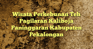 Wisata Perkebunan Teh Pagilaran Kaliboja Paninggaran Kabupaten Pekalongan