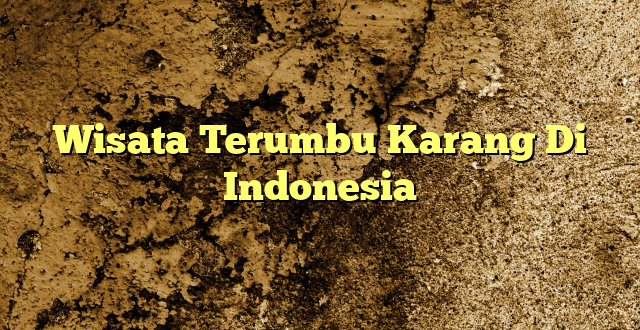Wisata Terumbu Karang Di Indonesia